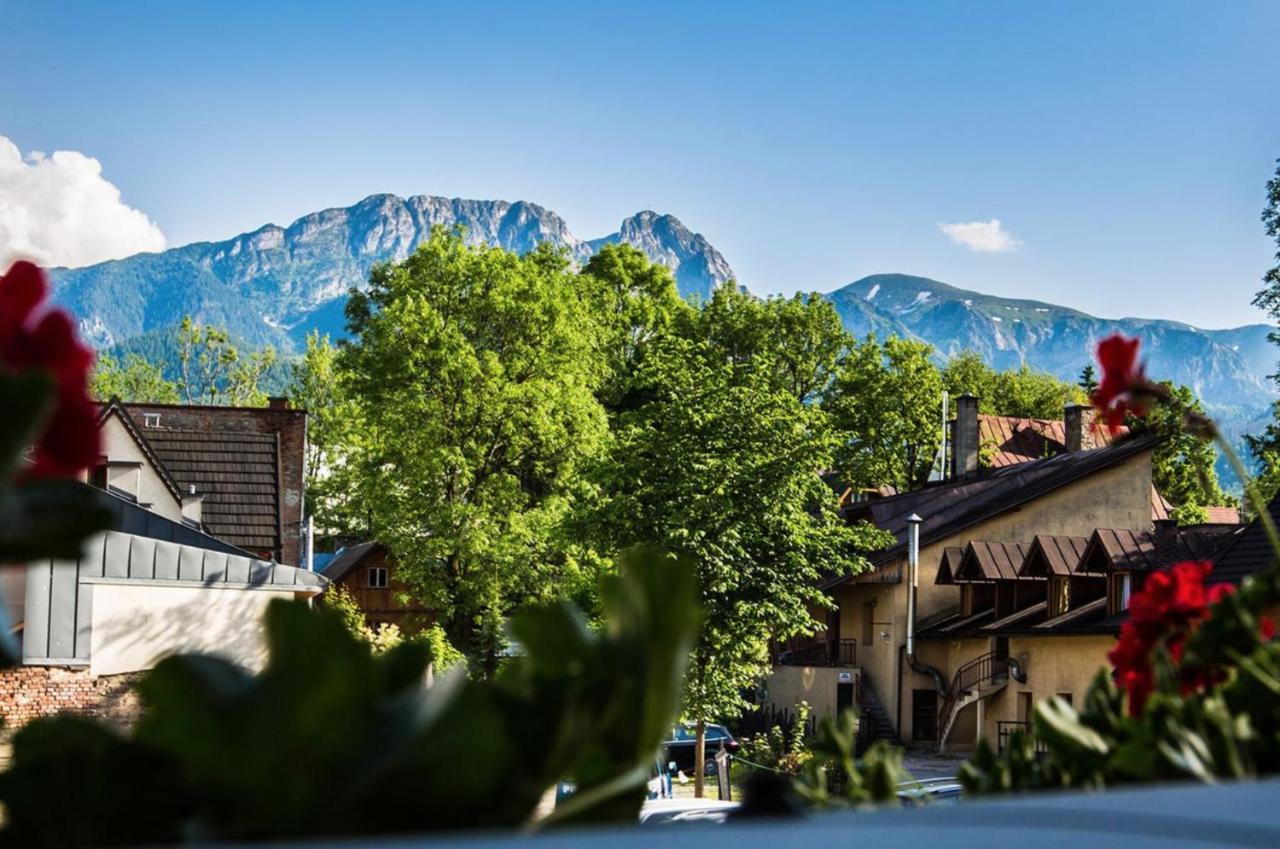 Willa Arkadia Zakopane Extérieur photo